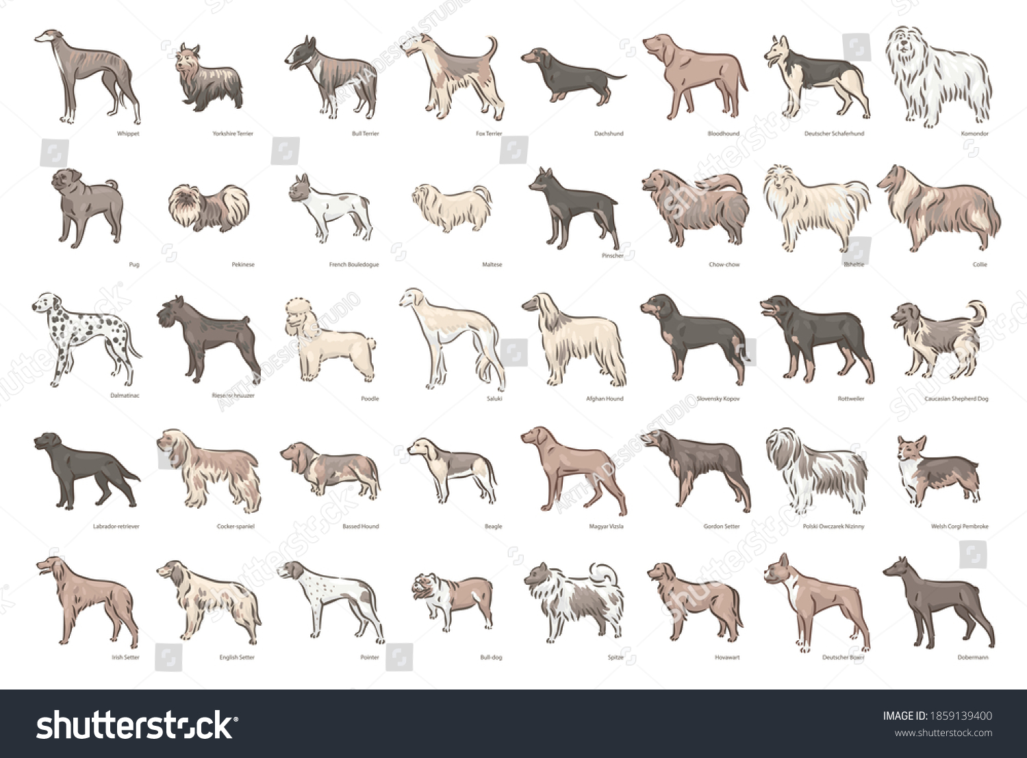 Cute Dog Breeds Pedigree Vector Illustration Stock Vector (Royalty Free