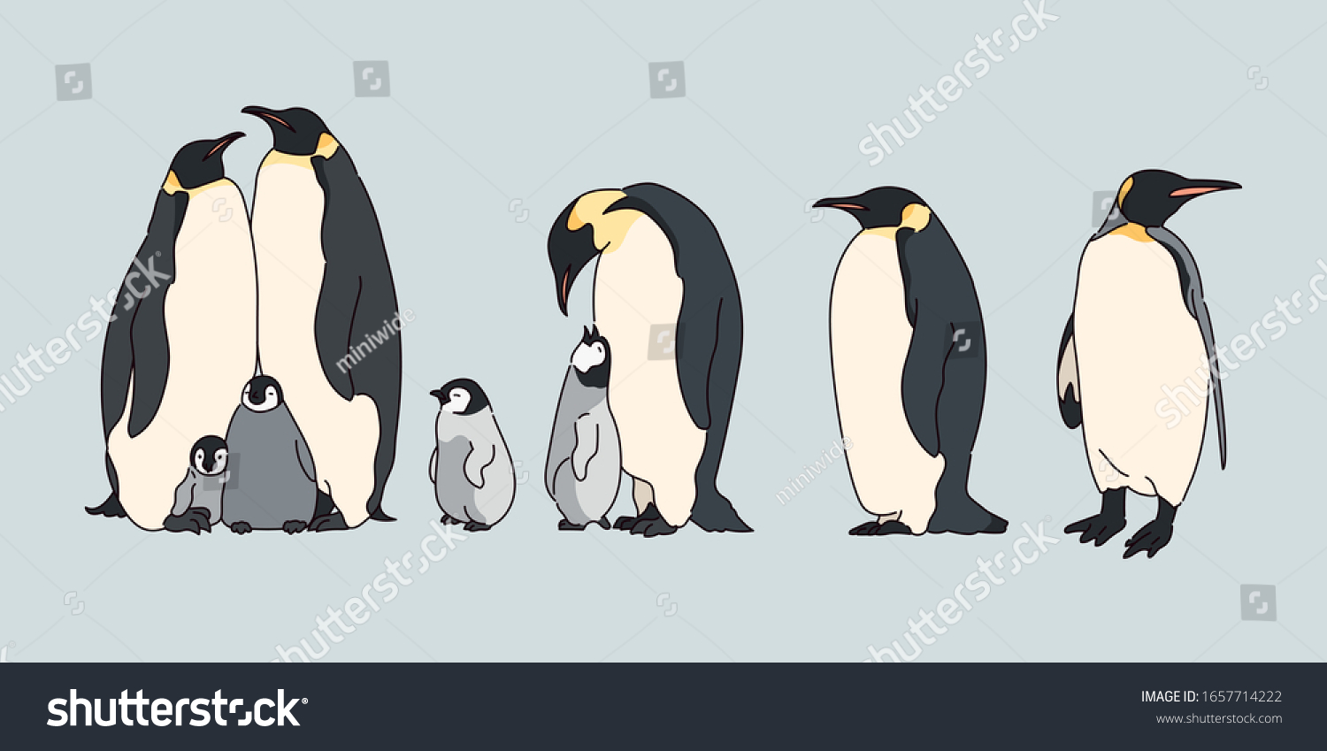 Cute Emperor Penguin Realistic Drawing Hand Stock Vector Royalty Free 1657714222