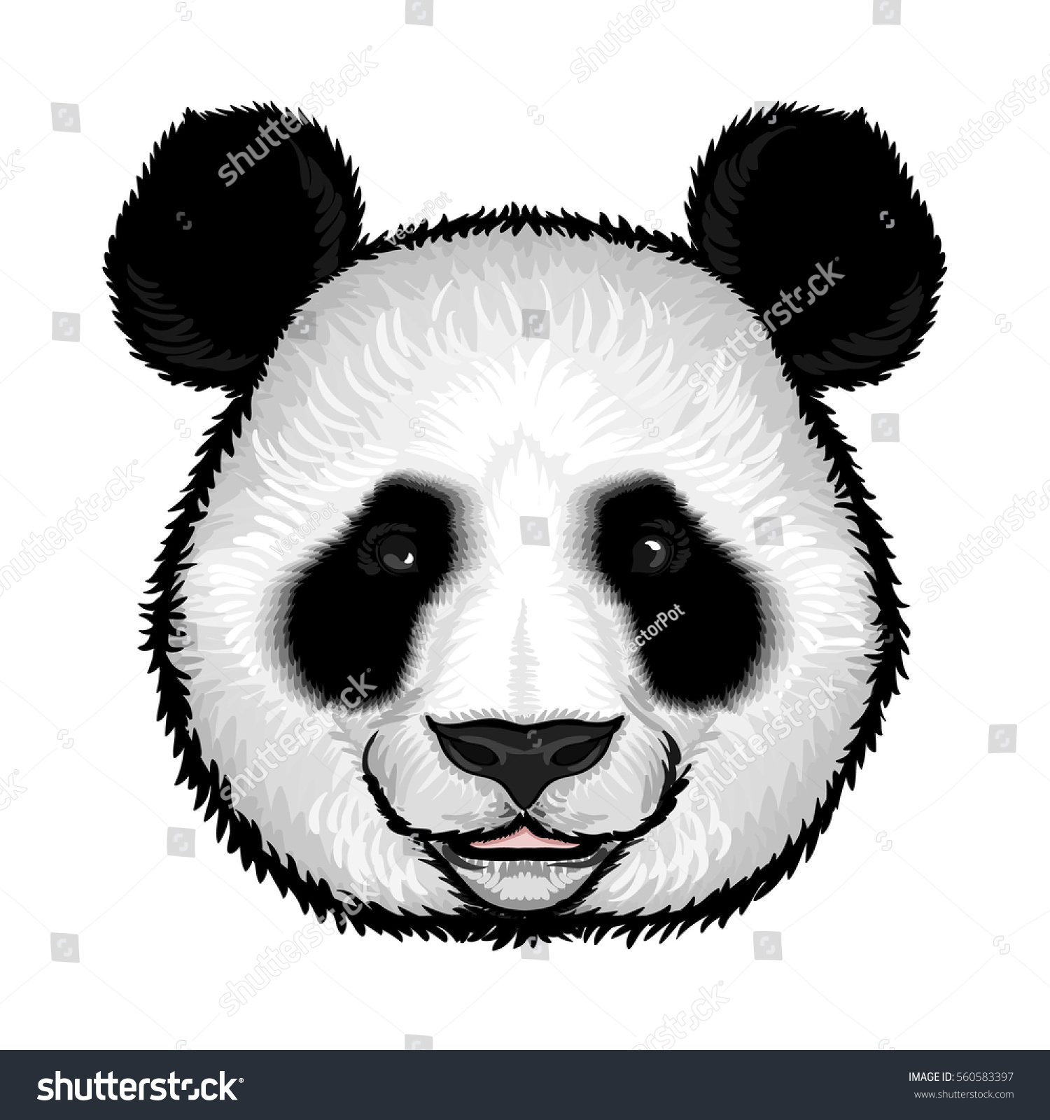 Cute Fluffy Panda Face Hand Drawn のベクター画像素材 ロイヤリティフリー