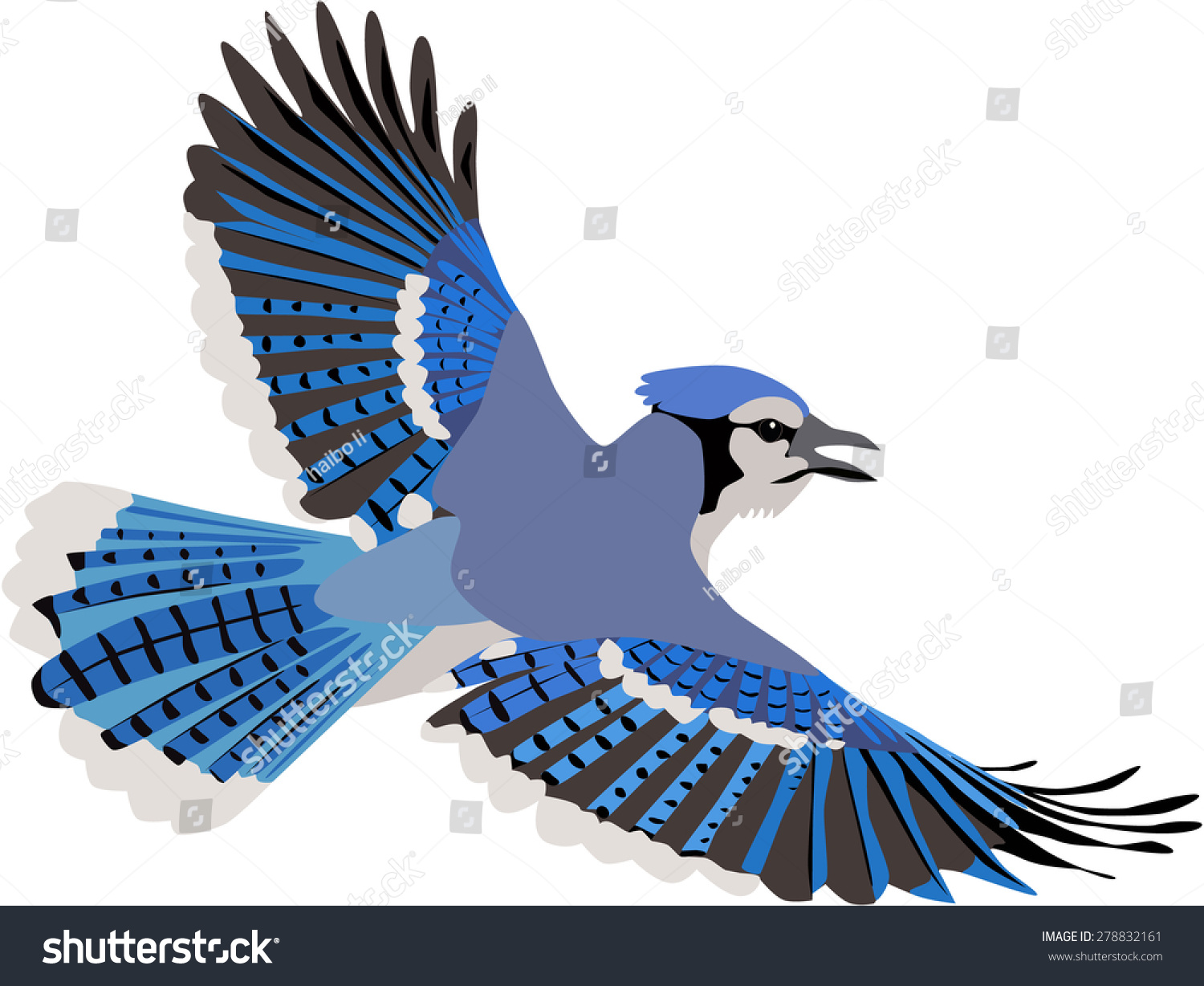 Cute Flying Blue Jay Beautiful Wings Stock Vector Royalty Free