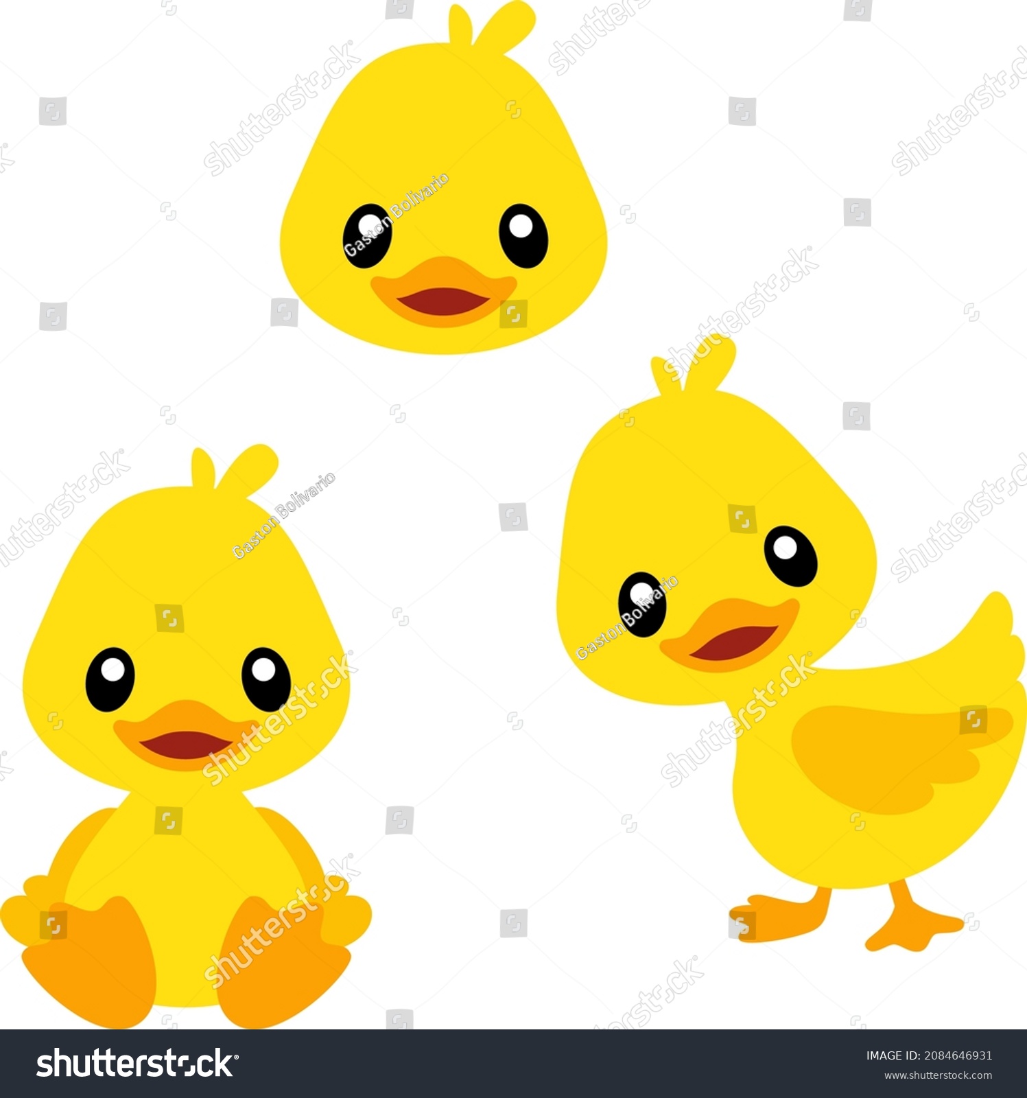 8,645 Duck front Images, Stock Photos & Vectors | Shutterstock