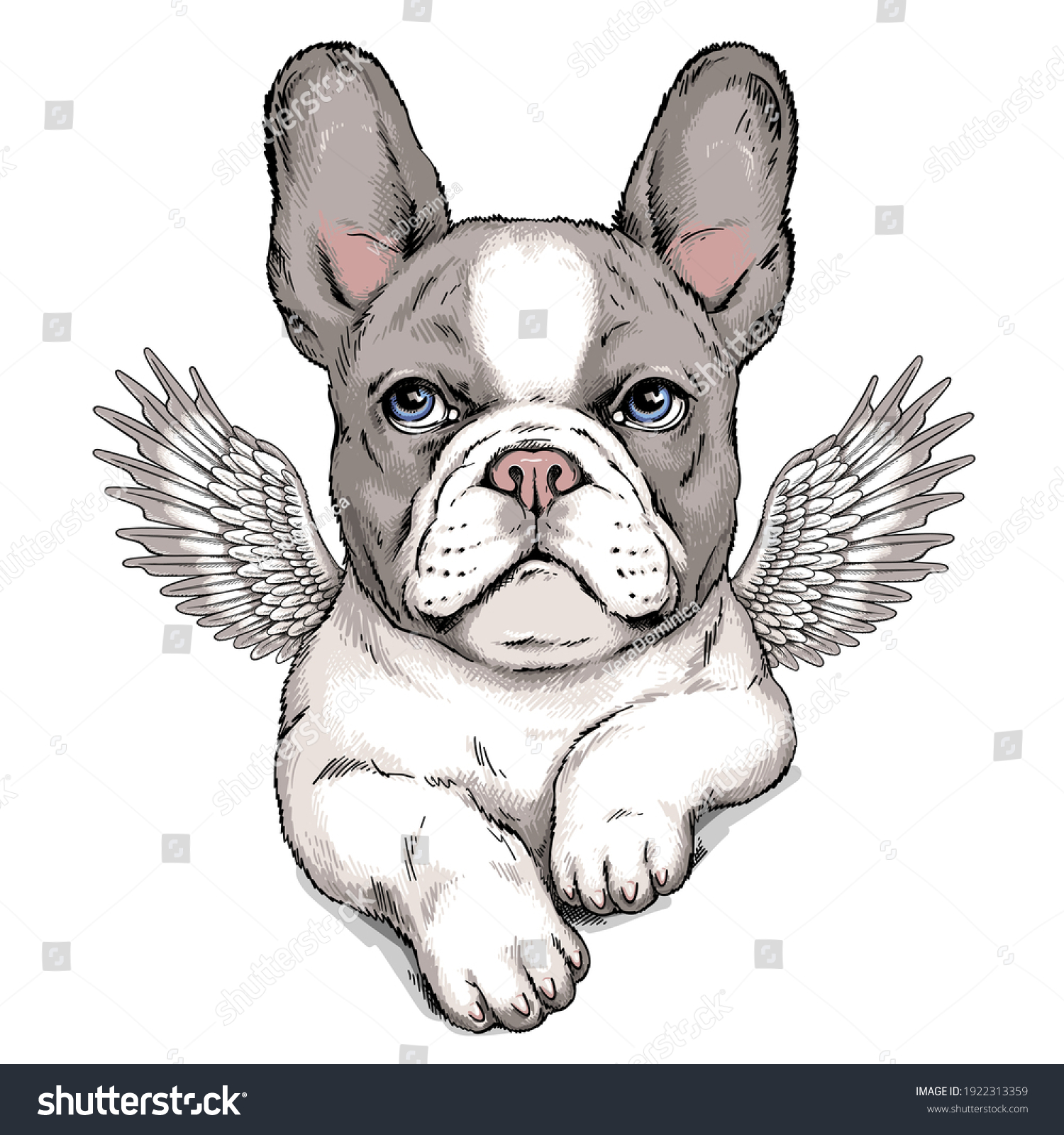 Cute French Bulldog Puppy Angel Wings Stock Vector Royalty Free 1922313359