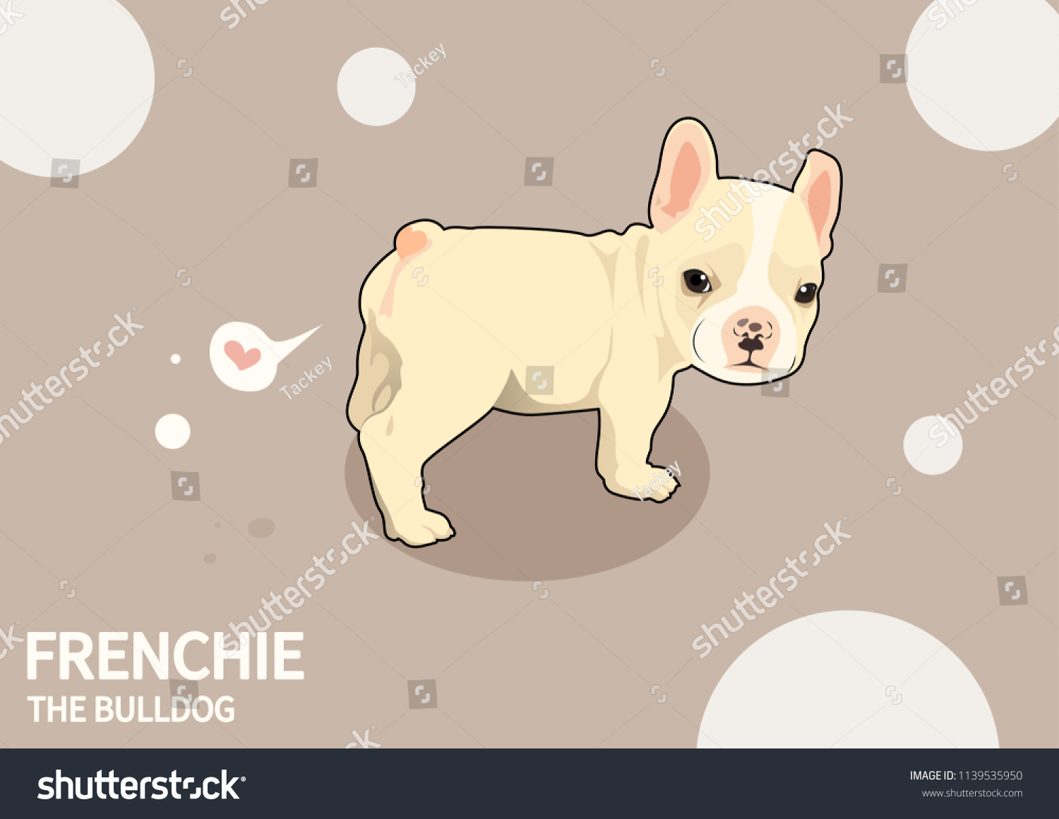 frenchie the bulldog