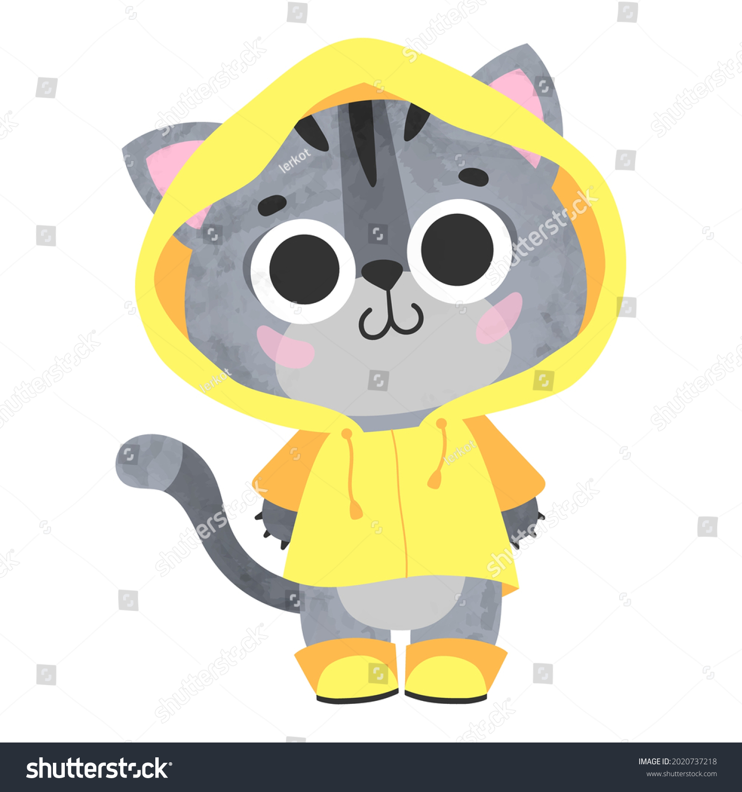 raincoat for cats