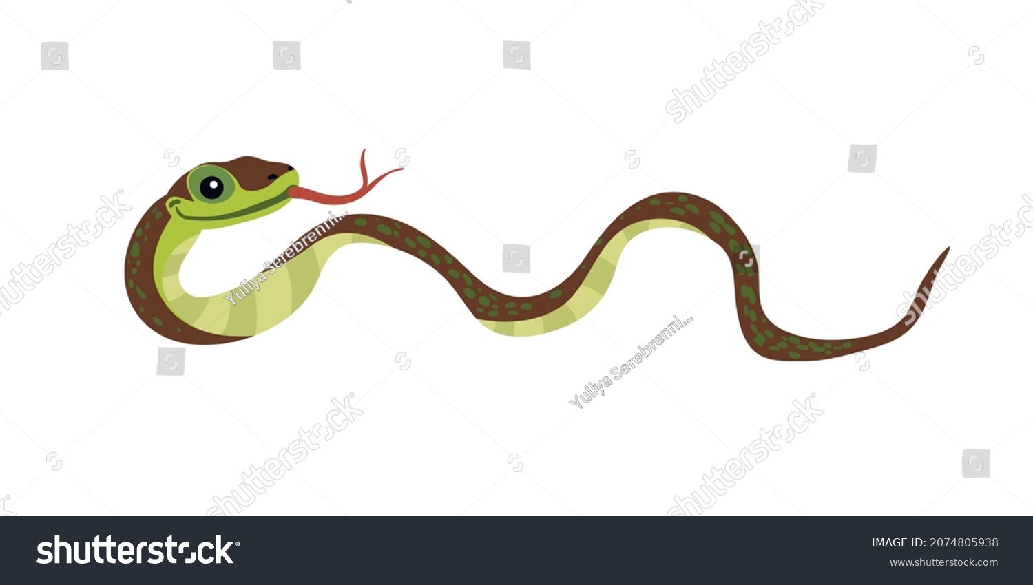 SVG of Cute green snake cartoon on white background. svg