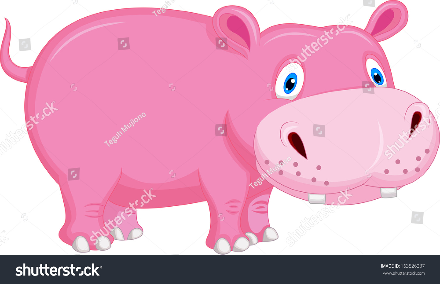 Cute Hippo Cartoon Stock Vector Illustration 163526237 : Shutterstock