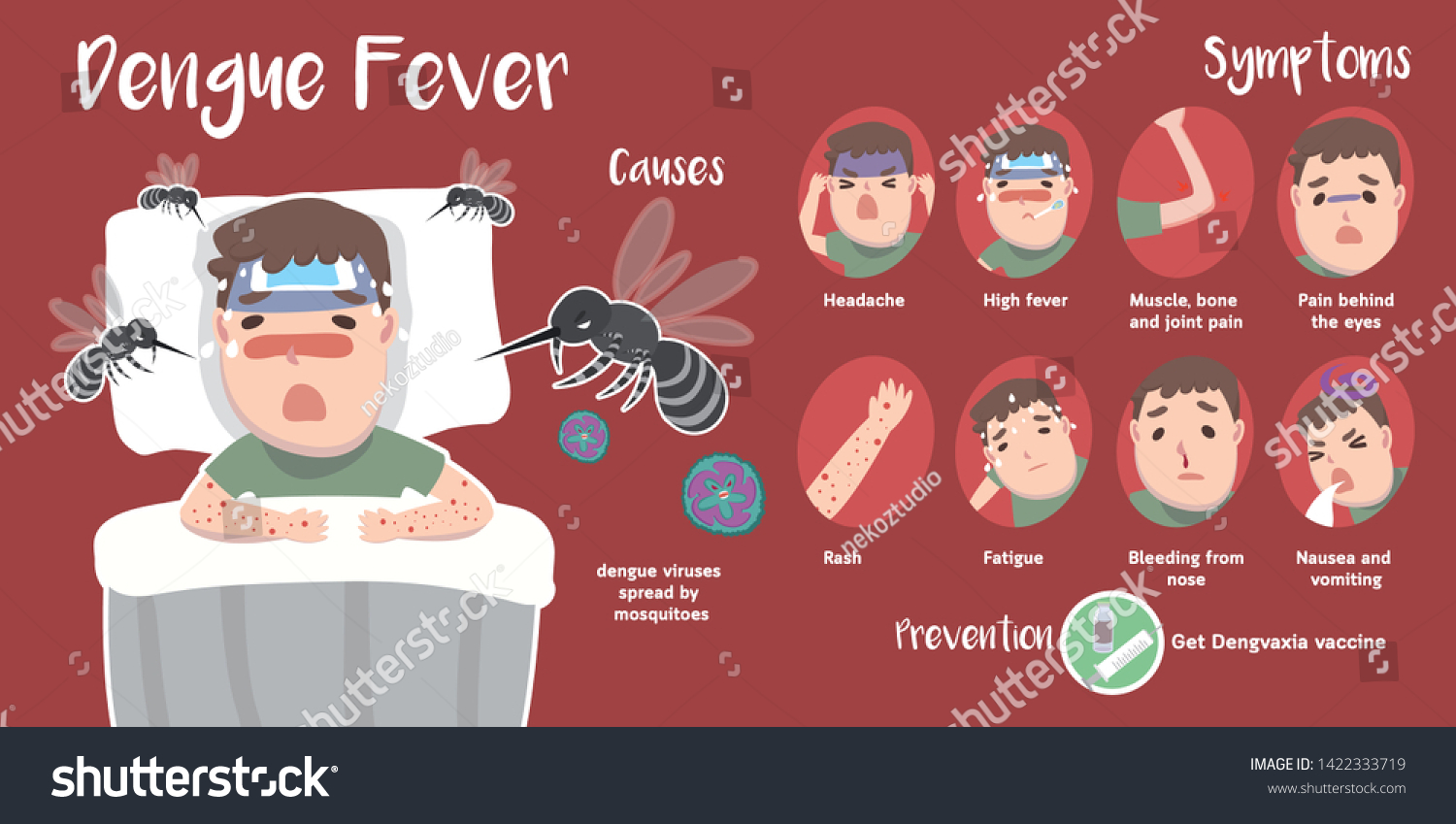 529 Dengue infographics Images, Stock Photos & Vectors | Shutterstock