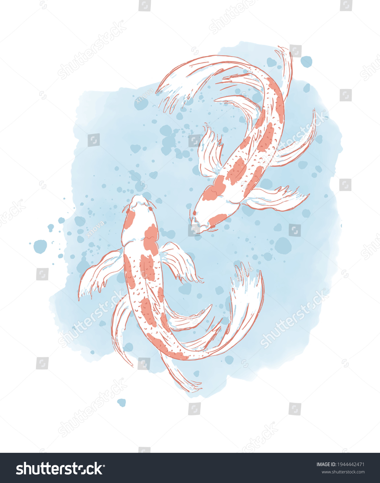 Cute Koi Fish Vector Illustration Two Stock Vector (Royalty Free ...