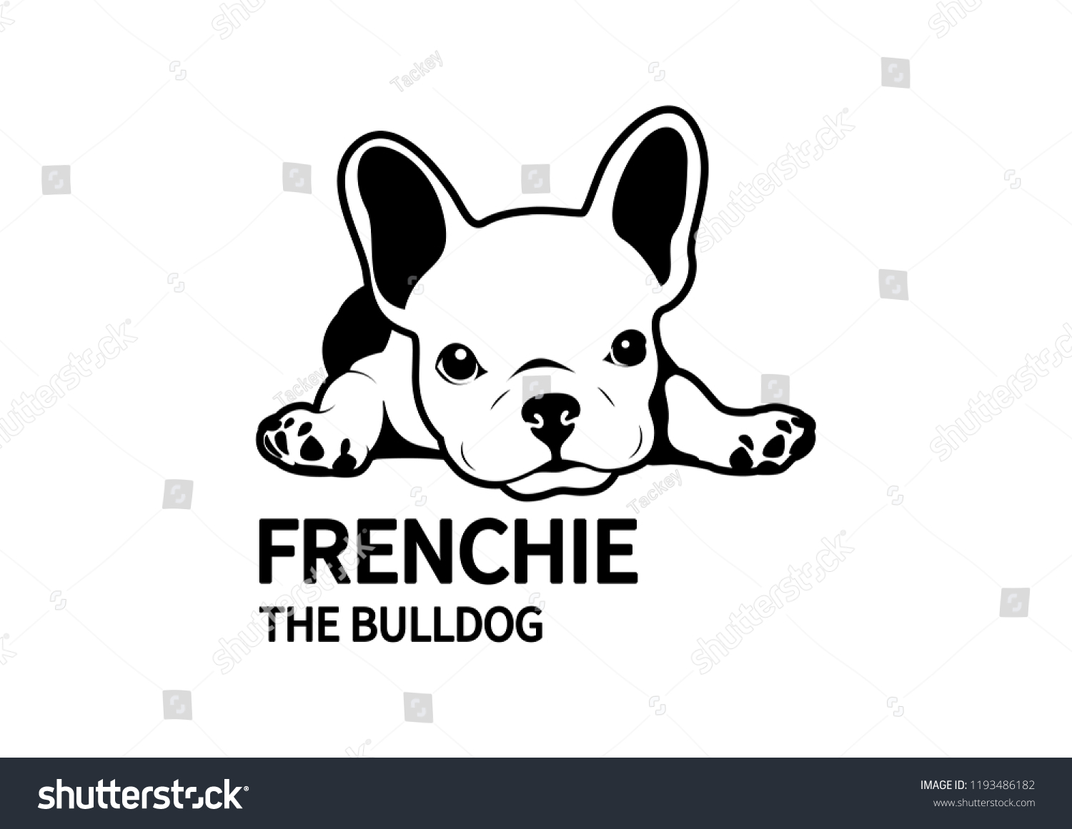 79,863 French puppy bulldog Images, Stock Photos & Vectors | Shutterstock
