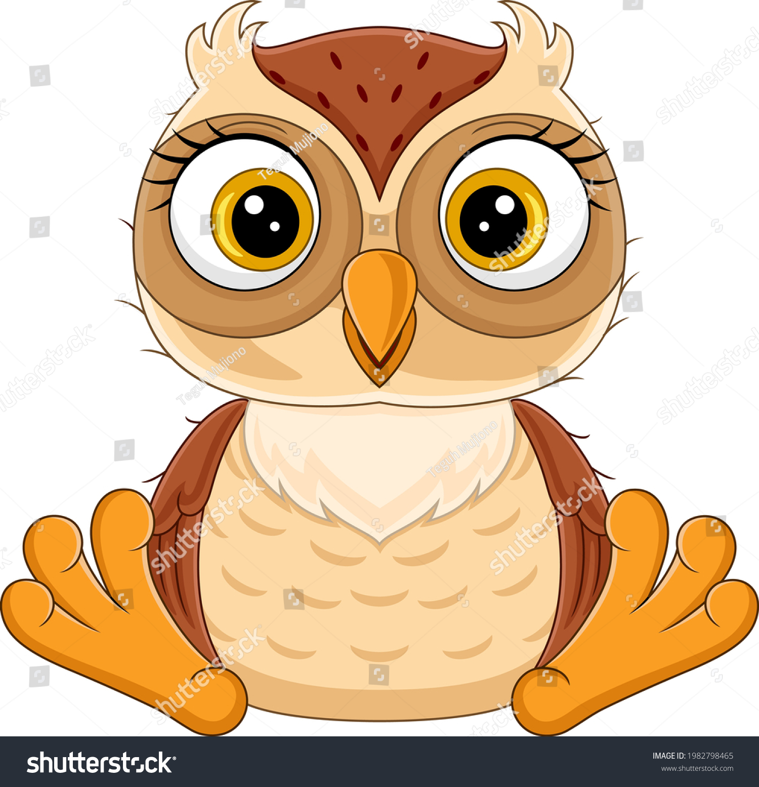 Cute Little Owl Cartoon Sitting Stock Vector (Royalty Free) 1982798465 ...