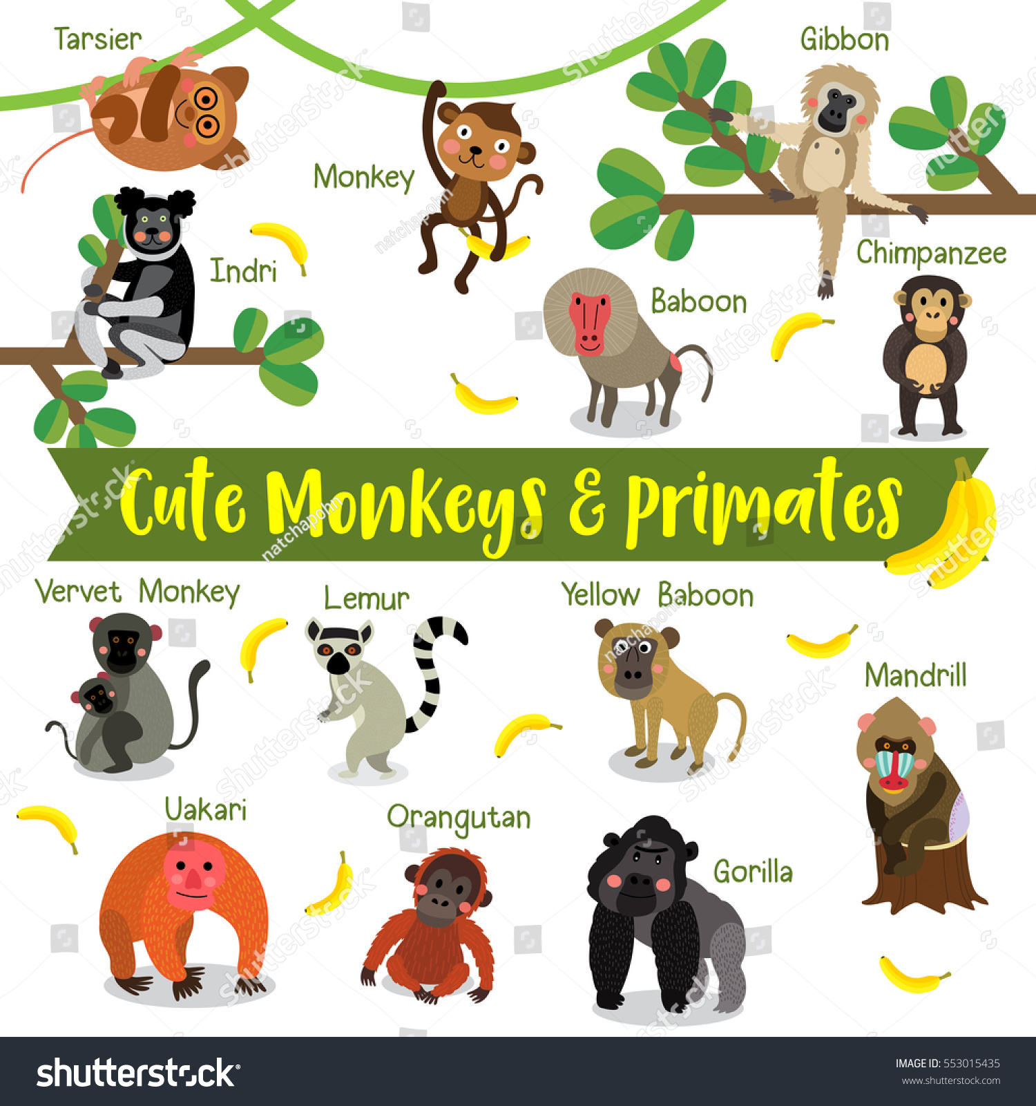 Cute Monkey Primate Cartoon On White Stock Vector Royalty Free 553015435