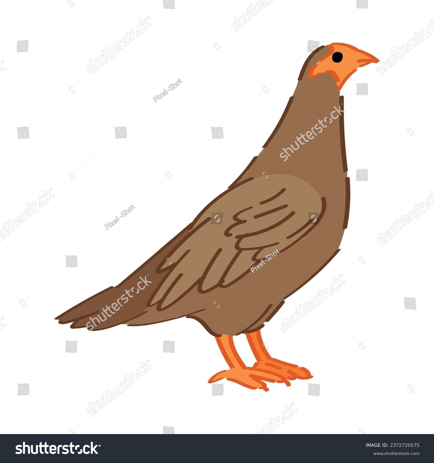 brown bird with orange beak and feet clip art preview