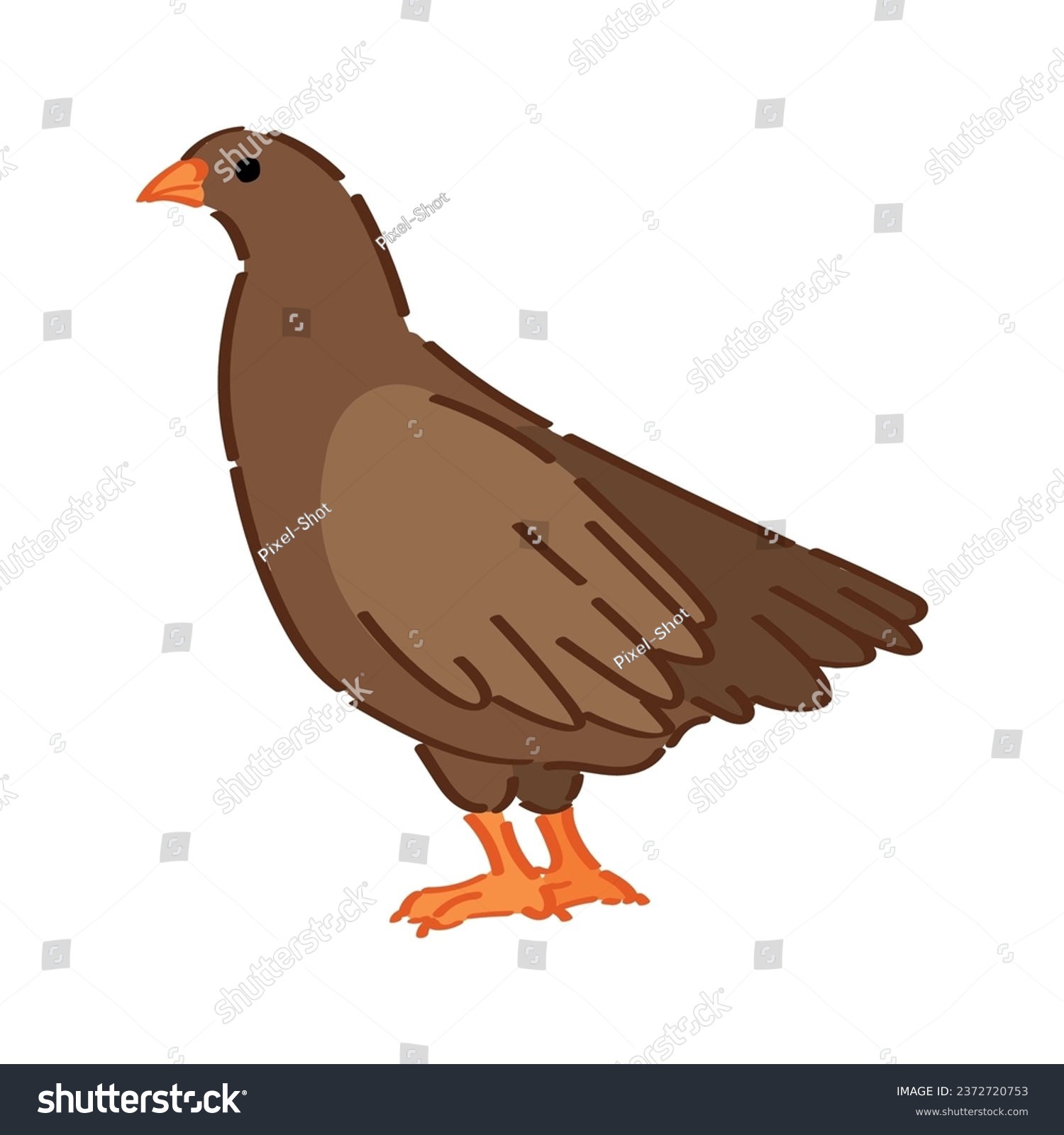 brown bird with orange beak and feet clip art preview