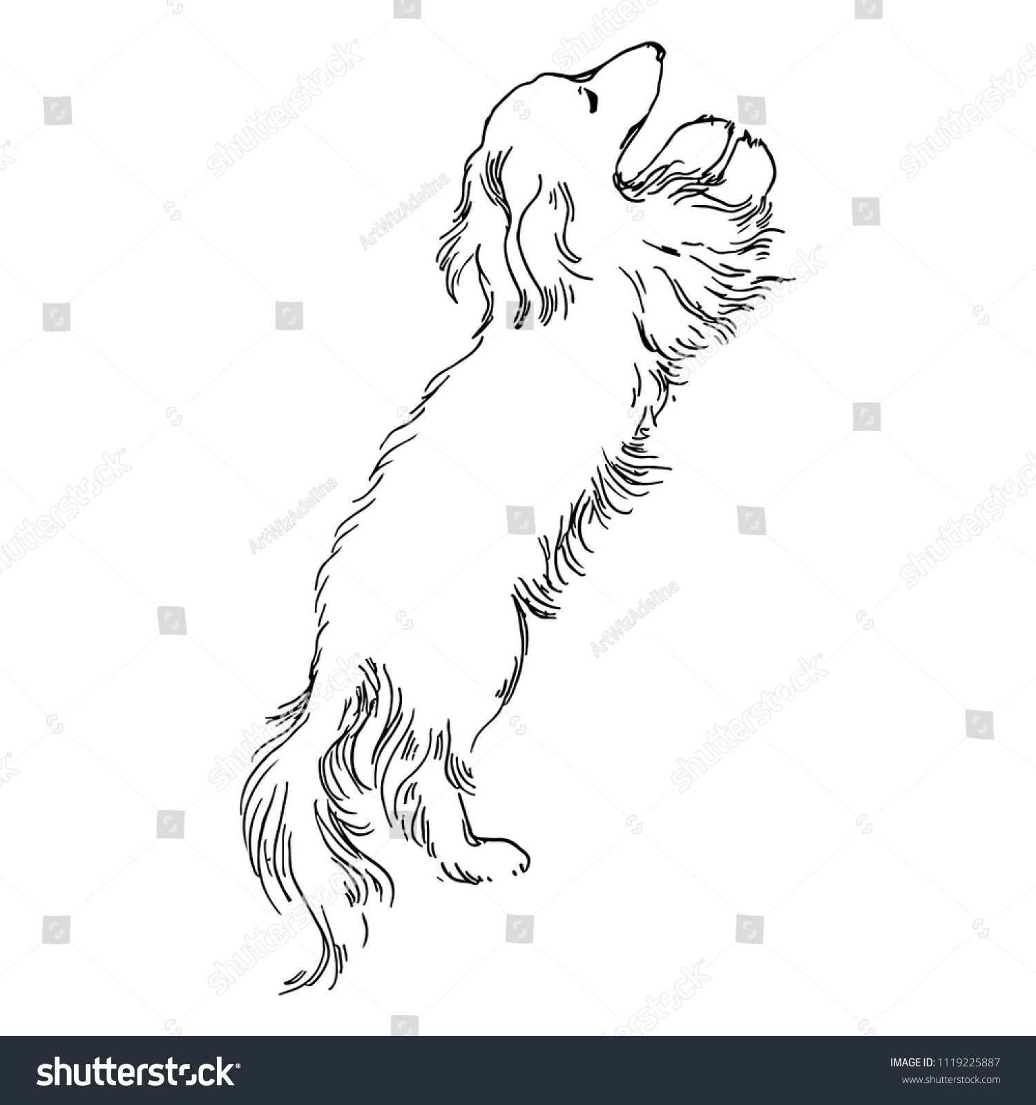 SVG of Cute realistic hand drawn dog longhaired dachshund in crosshatched vintage style. Vector illustration. svg