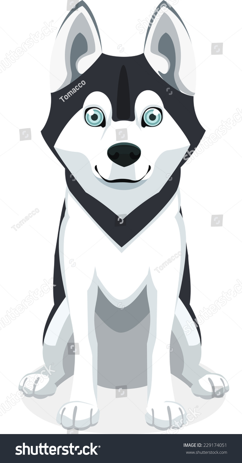 Cute Siberian Husky Purebred Standing Front View Dog, Vector ...