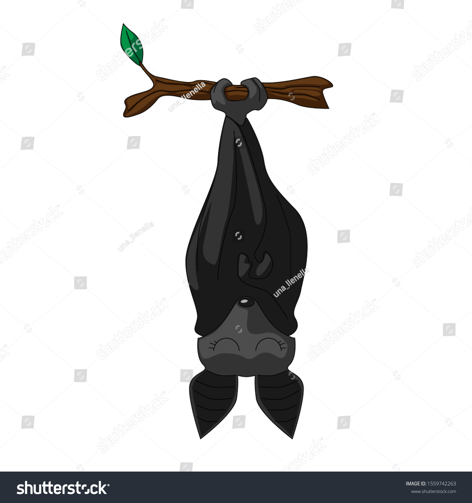 Cute Sleeping Bat Vector Illustration Isolated Vector De Stock Libre De Regalías 1559742263 