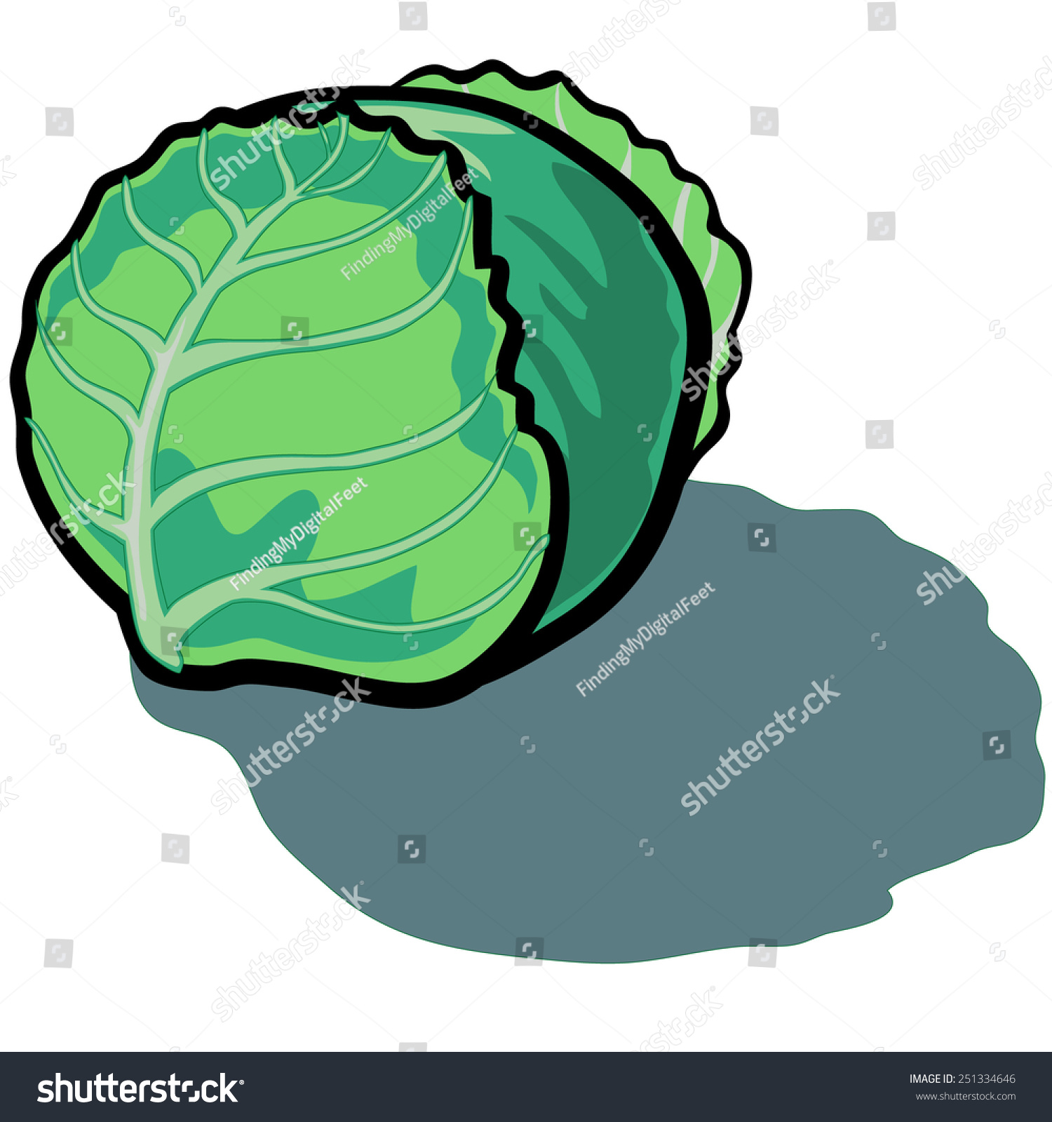 Cute Vector Cartoon Cabbage Stock Vector (Royalty Free) 251334646