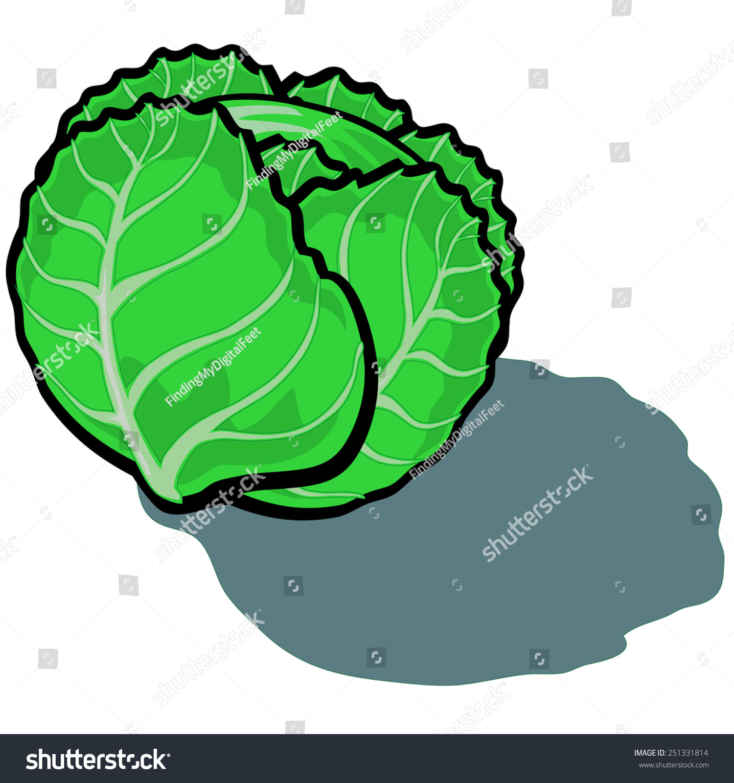 Cute Vector Cartoon Lettuce Stock Vector Royalty Free 251331814