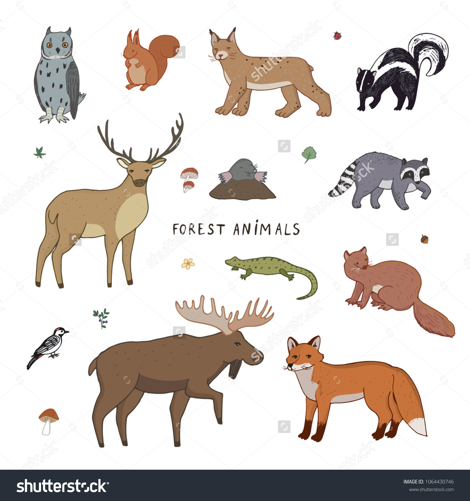 Cute Woodland Forest Animals Vector Illustrations Stock Vector (Royalty ...