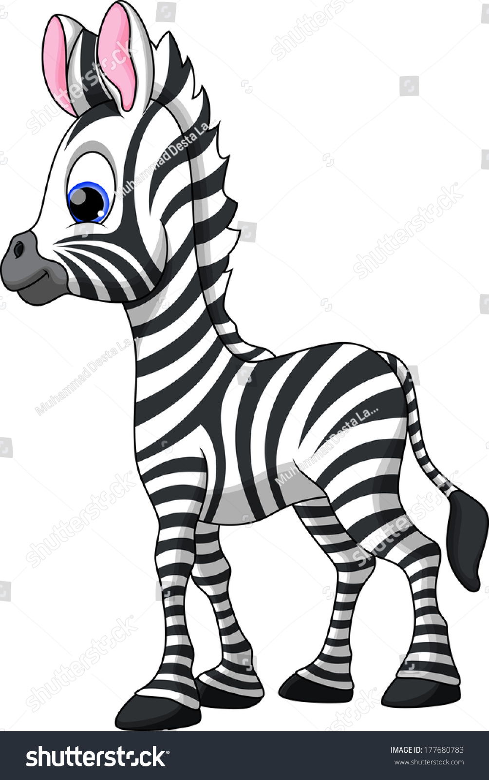 Cute Zebra Cartoon Stock Vector Illustration 177680783 : Shutterstock