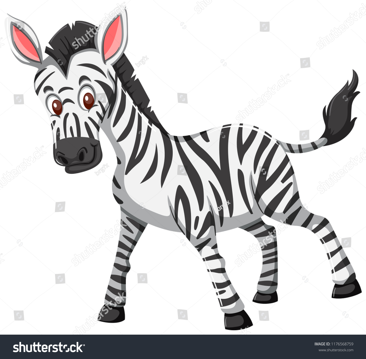 Cute Zebra White Background Illustration Stock Vector (Royalty Free ...