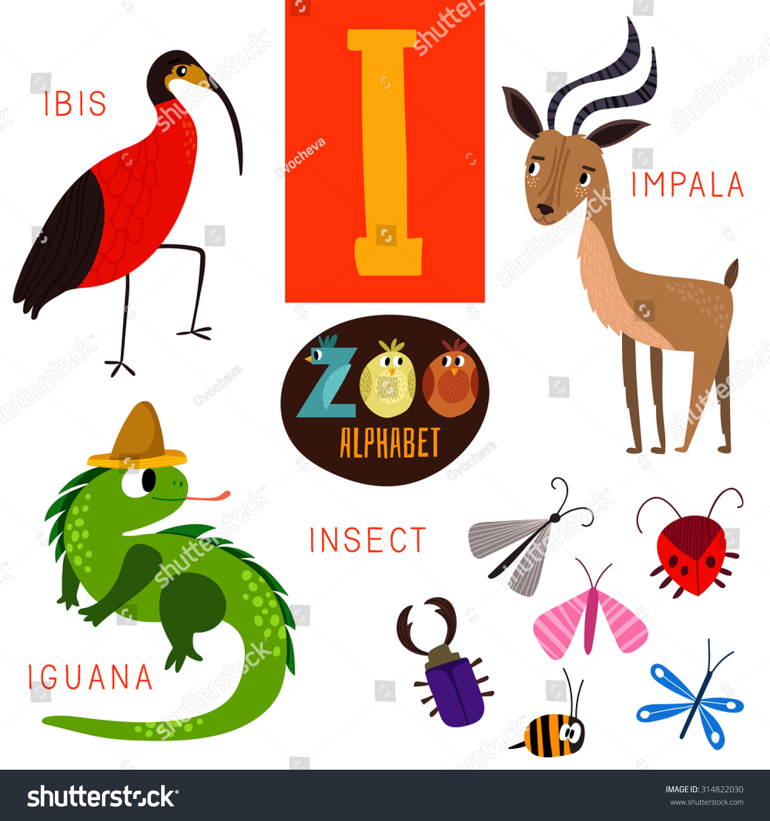 Cute Zoo Alphabet In Vector.I Letter. Funny Cartoon Animals:Ibis,Impala ...