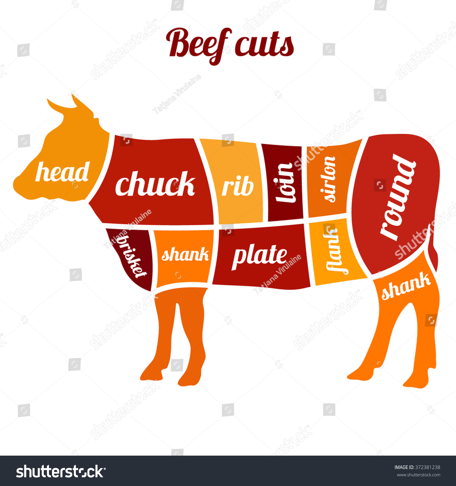 Cuts Of Beef Vector Illustration - 372381238 : Shutterstock