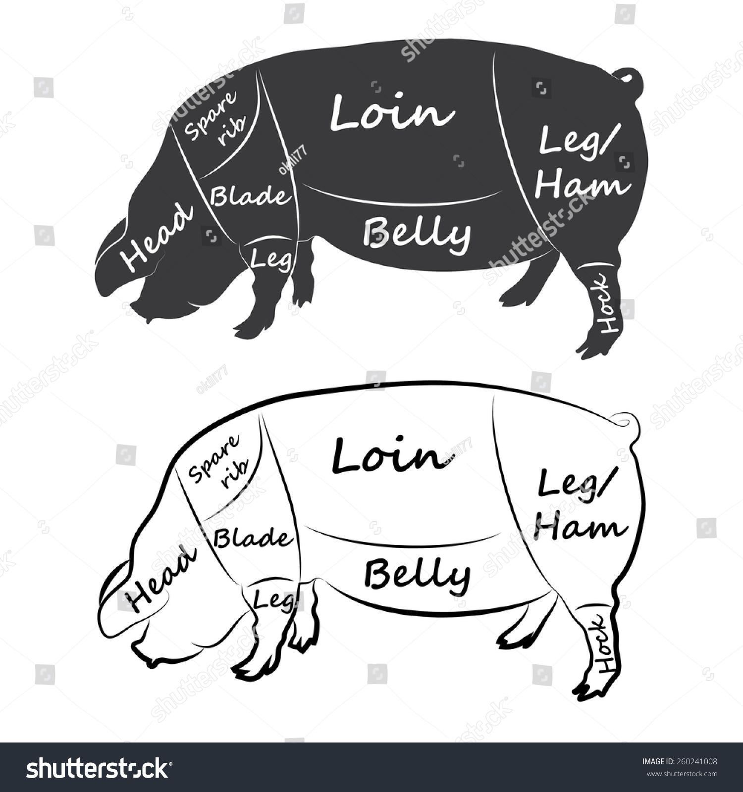 Cuts Pork Diagram Illustration Vector Stock Vector (Royalty Free ...