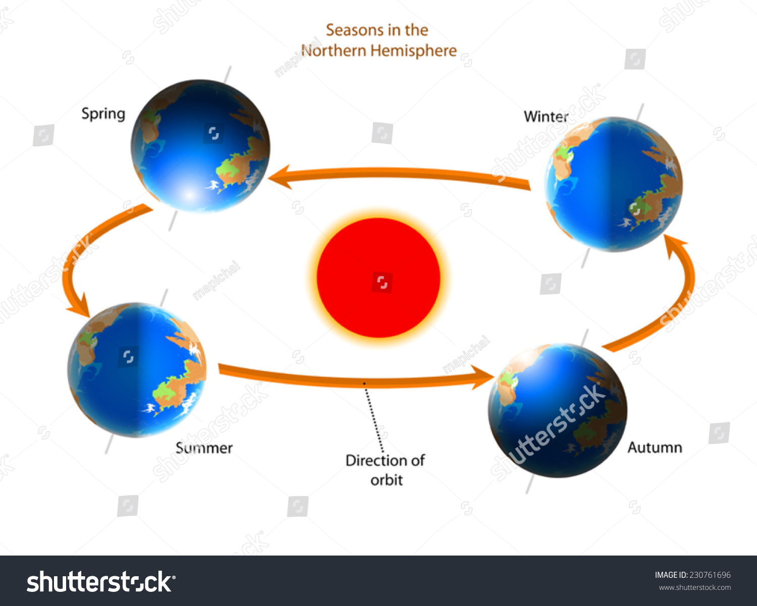 Cycle Seasonsseasons Northern Hemisphere Vector Nature Stock Vector Royalty Free