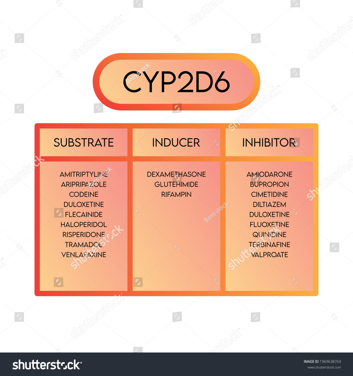 SVG of CYP2D6 Cytochrome P450 enzyme substrates, inducers and inhibitor drug examples for pharmacology, biochemistry svg