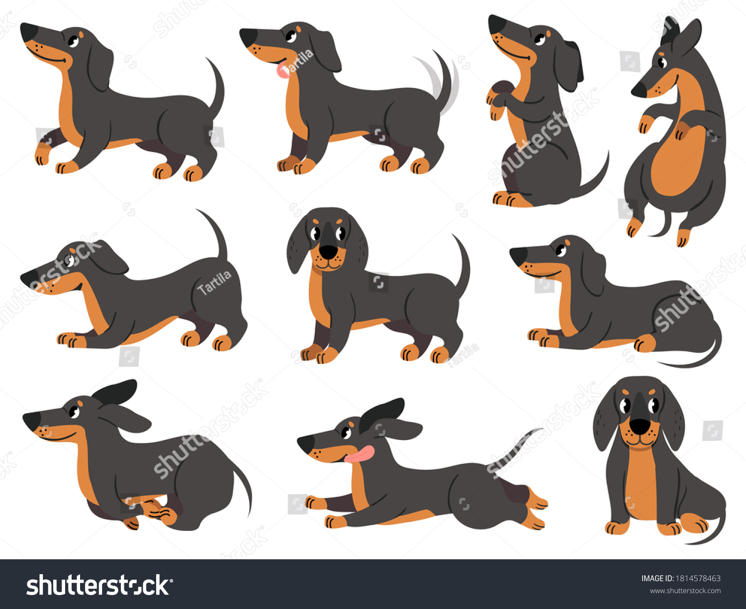SVG of Dachshund. Cute dogs characters various poses hunting breed, design for prints, textile or card, adorable dachshund cartoon vector set. Dachshund pose, dog pedigree drawing, domestic pet illustration svg