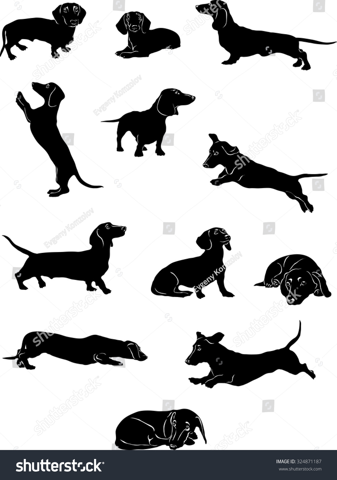 SVG of Dachshund, dachshund figure, vector, different positions, illustration, black and white, silhouette svg