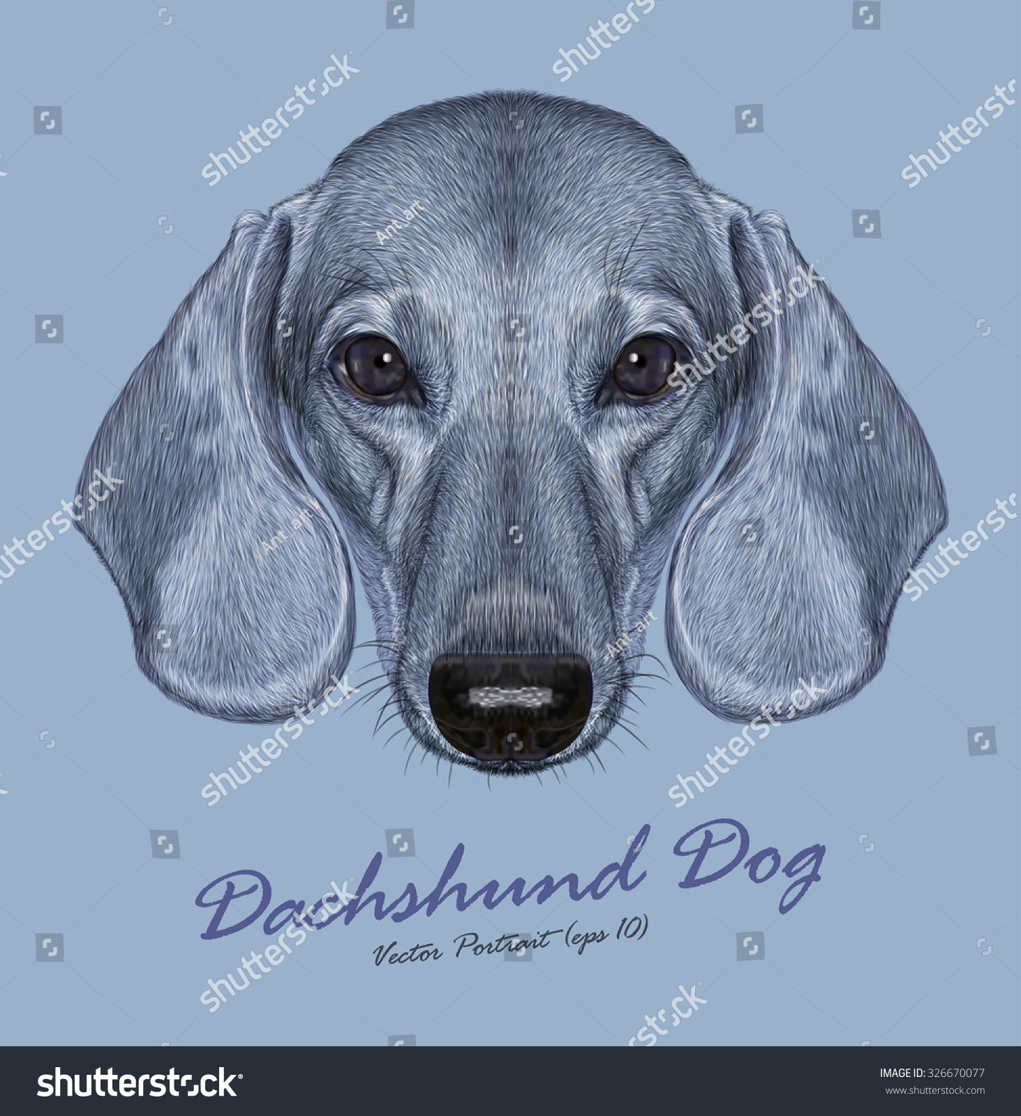 SVG of Dachshund dog animal cute face. Vector cute dachshund puppy head portrait. Realistic fur portrait of silver funny dachshund doggy isolated on blue background. svg
