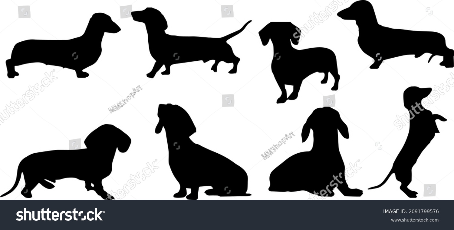 SVG of Dachshund Dog Silhouette Bundle SVG, Sausage Dog svg