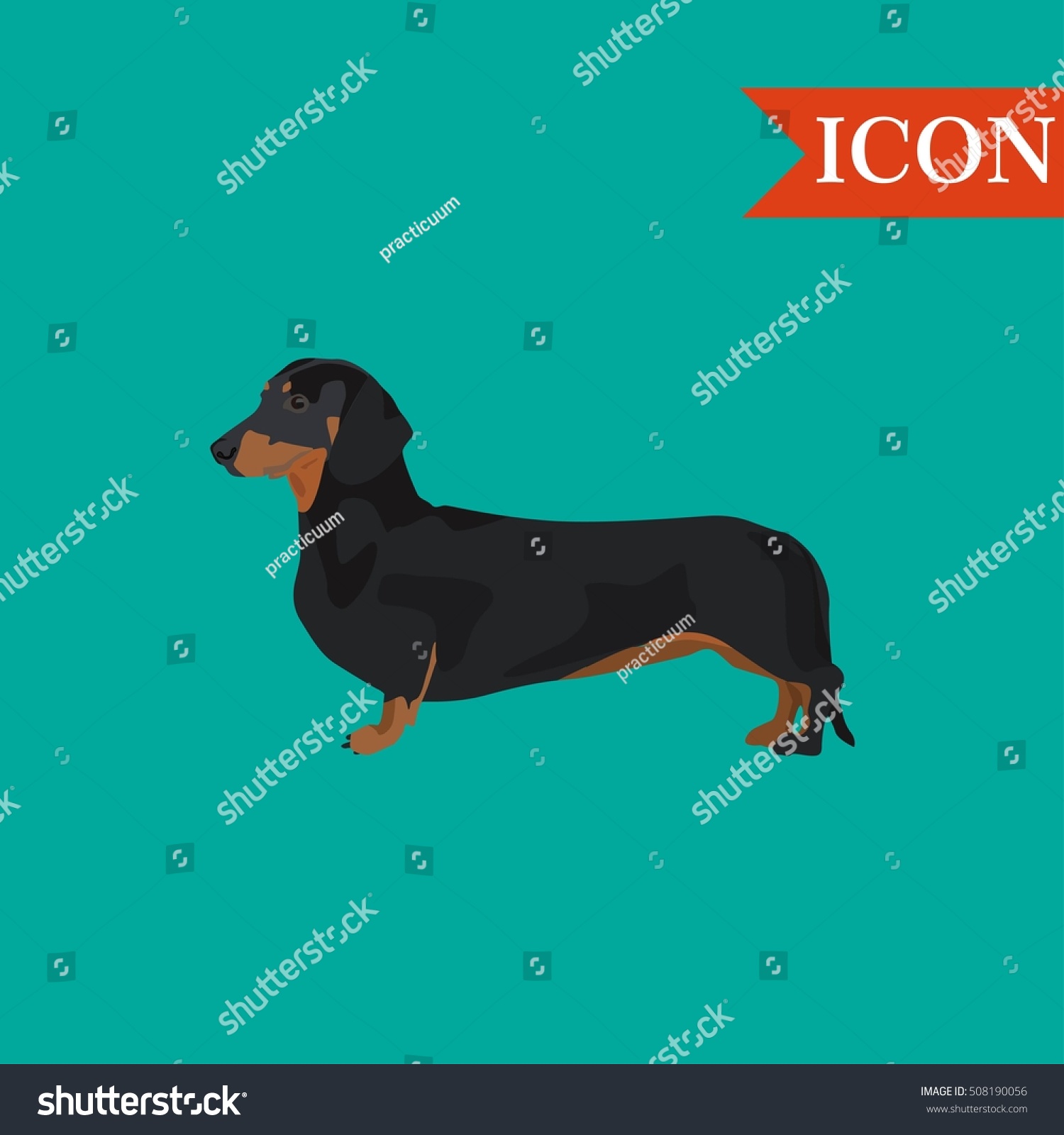 SVG of Dachshund dog vector illustration colorful background  svg