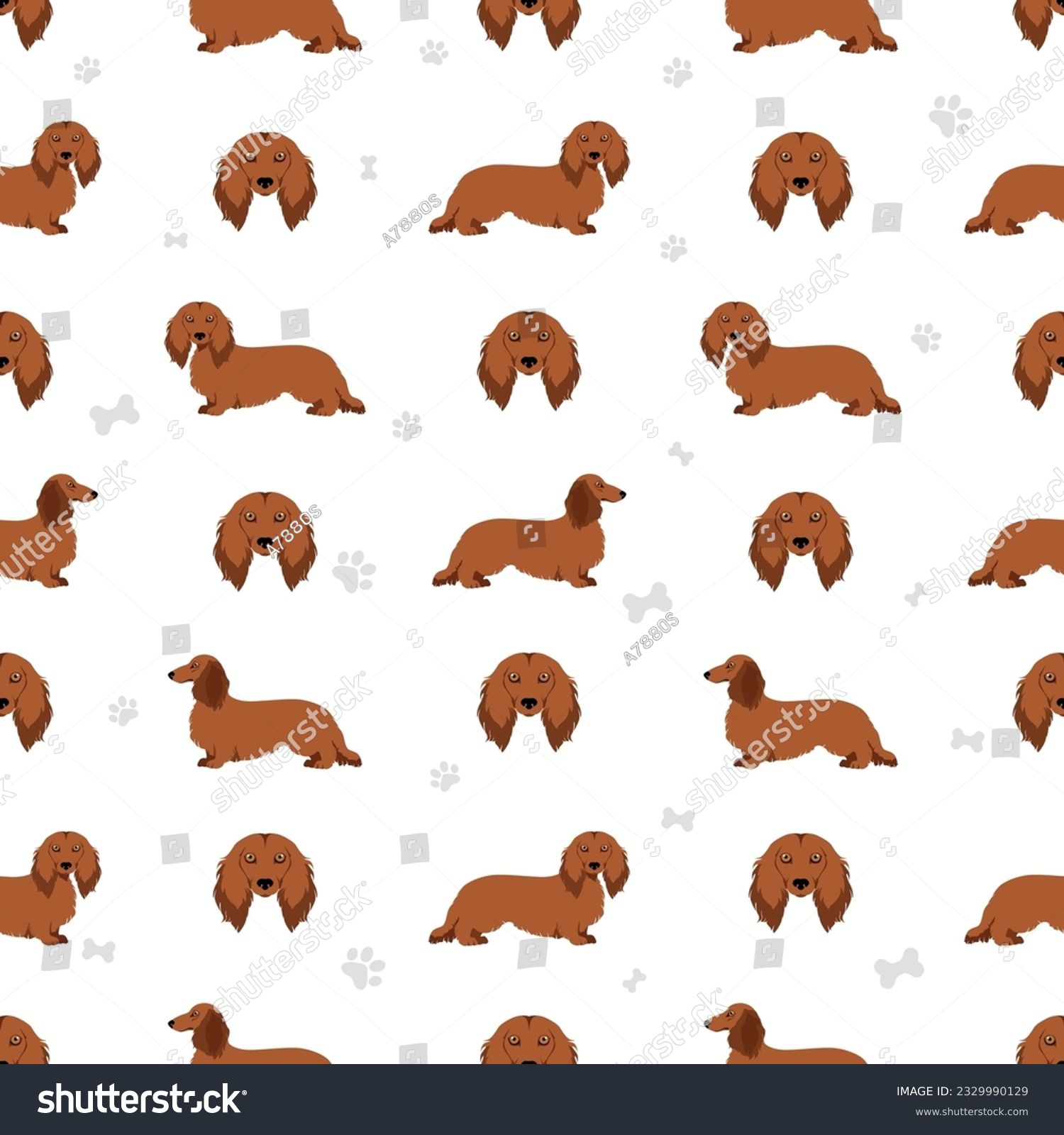 SVG of Dachshund long haired seamless pattern. Different poses, coat colors set.  Vector illustration svg