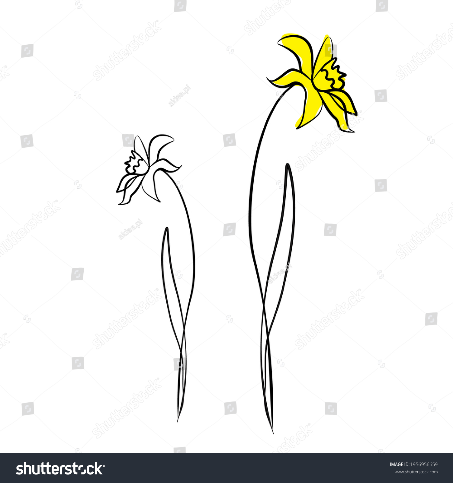 2,496 Daffodil line drawing Images, Stock Photos & Vectors Shutterstock