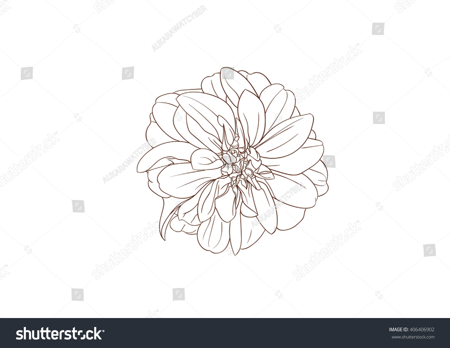 Dahlia Hand Drawing Flower Stock Vector Illustration 406406902