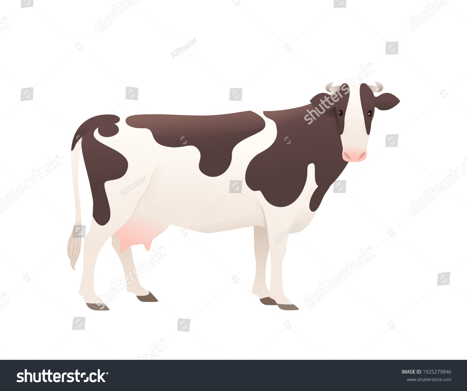 123,354 Black white cattle Images, Stock Photos & Vectors | Shutterstock