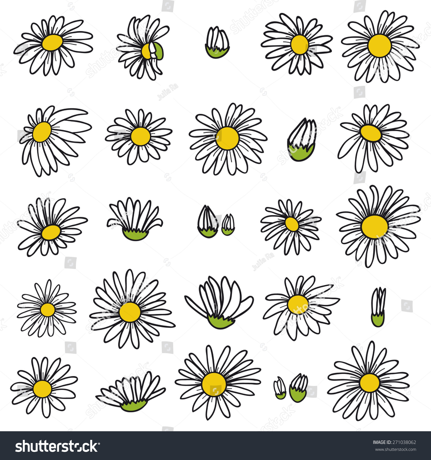 Daisies, Vector Illustration - 271038062 : Shutterstock