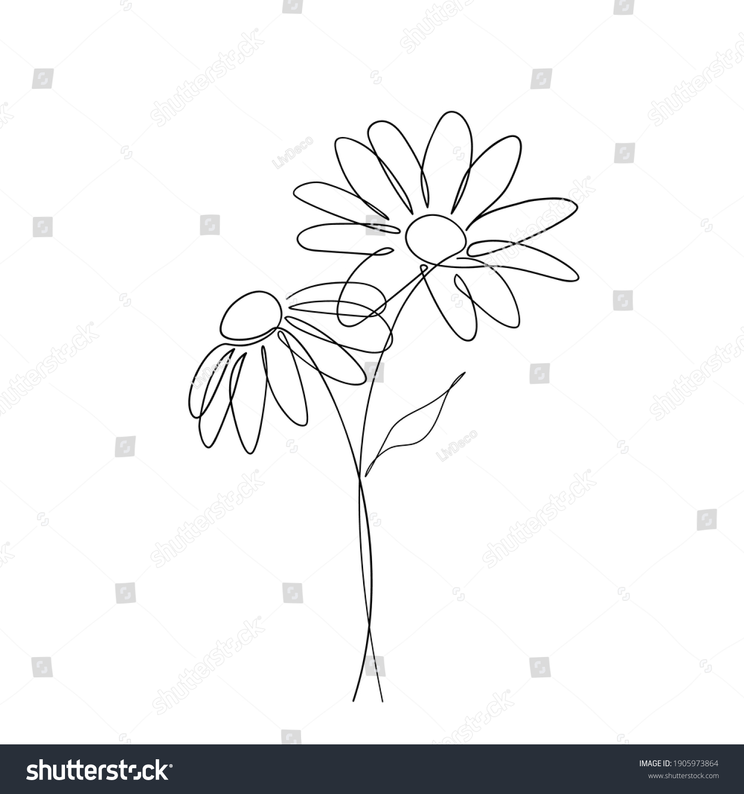 Daisy Flower Continuous Line Art Drawing Stock Vector Royalty Free