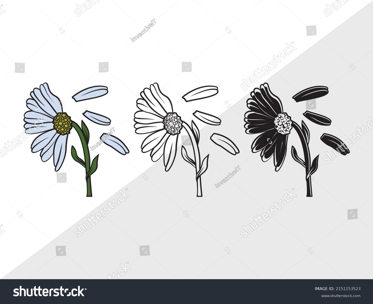 SVG of Daisy Flower Printable Vector Illustration svg