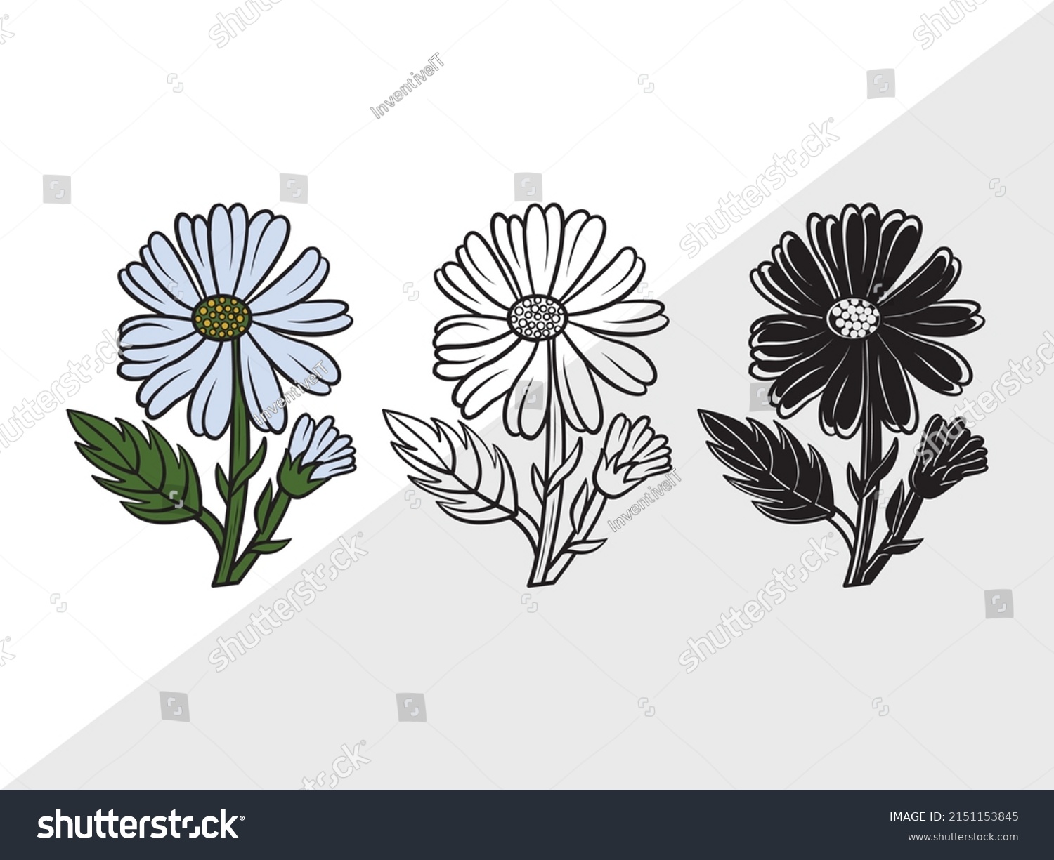 SVG of Daisy Flower Printable Vector Illustration svg