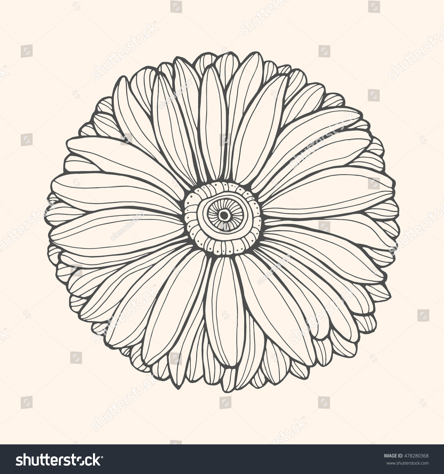 Daisy Isolated Top View Vector Artwork Stock Vector (Royalty Free