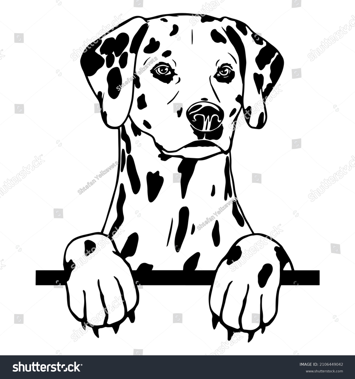SVG of Dalmatian dog vector illustration.
Looking peeping dog. For cutting vinyl prints and design T shirts and mugs. cut stencil file svg