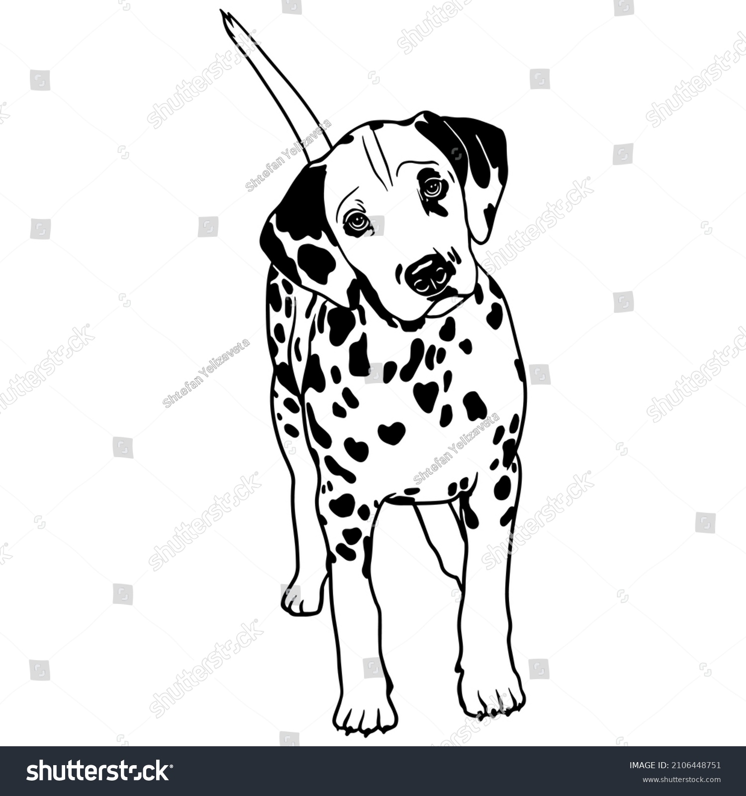 SVG of Dalmatian dog vector illustration.
Looking peeping dog. For cutting vinyl prints and designing T-shirts and mugs. cut stencil file svg