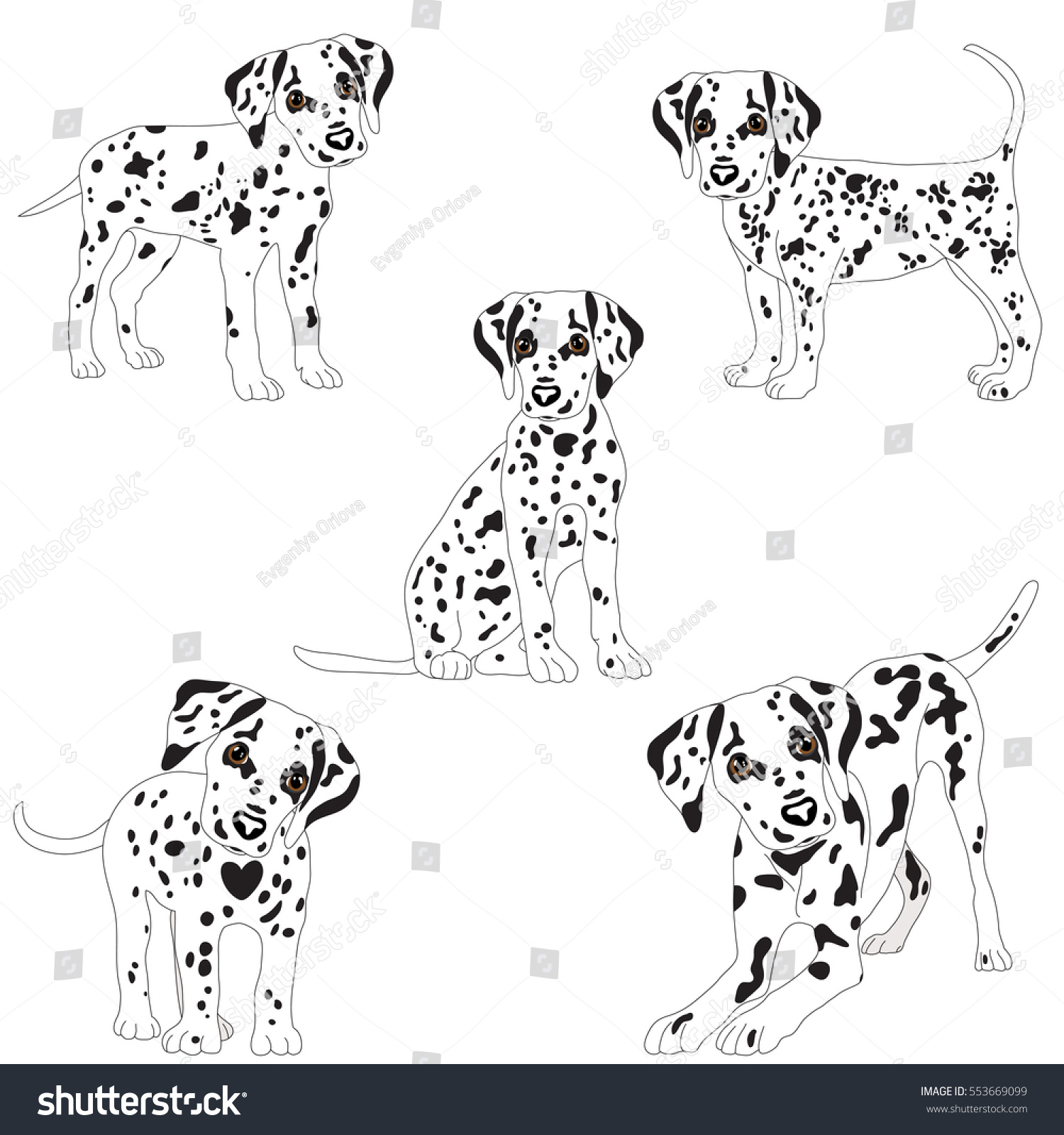 SVG of Dalmatians, cute, sad. Vector Illustration Portrait of Dalmatian Puppy. Dog isolated. svg