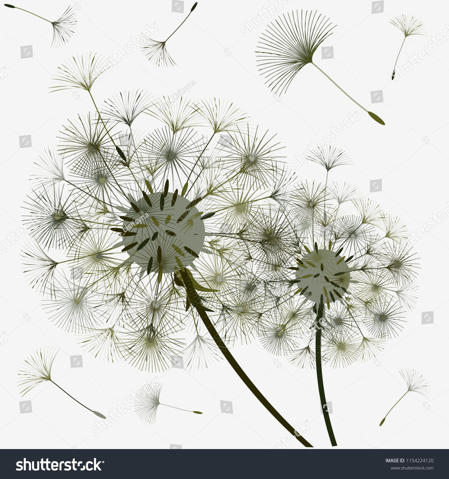 dandelion design abstract background wind blows stock vector