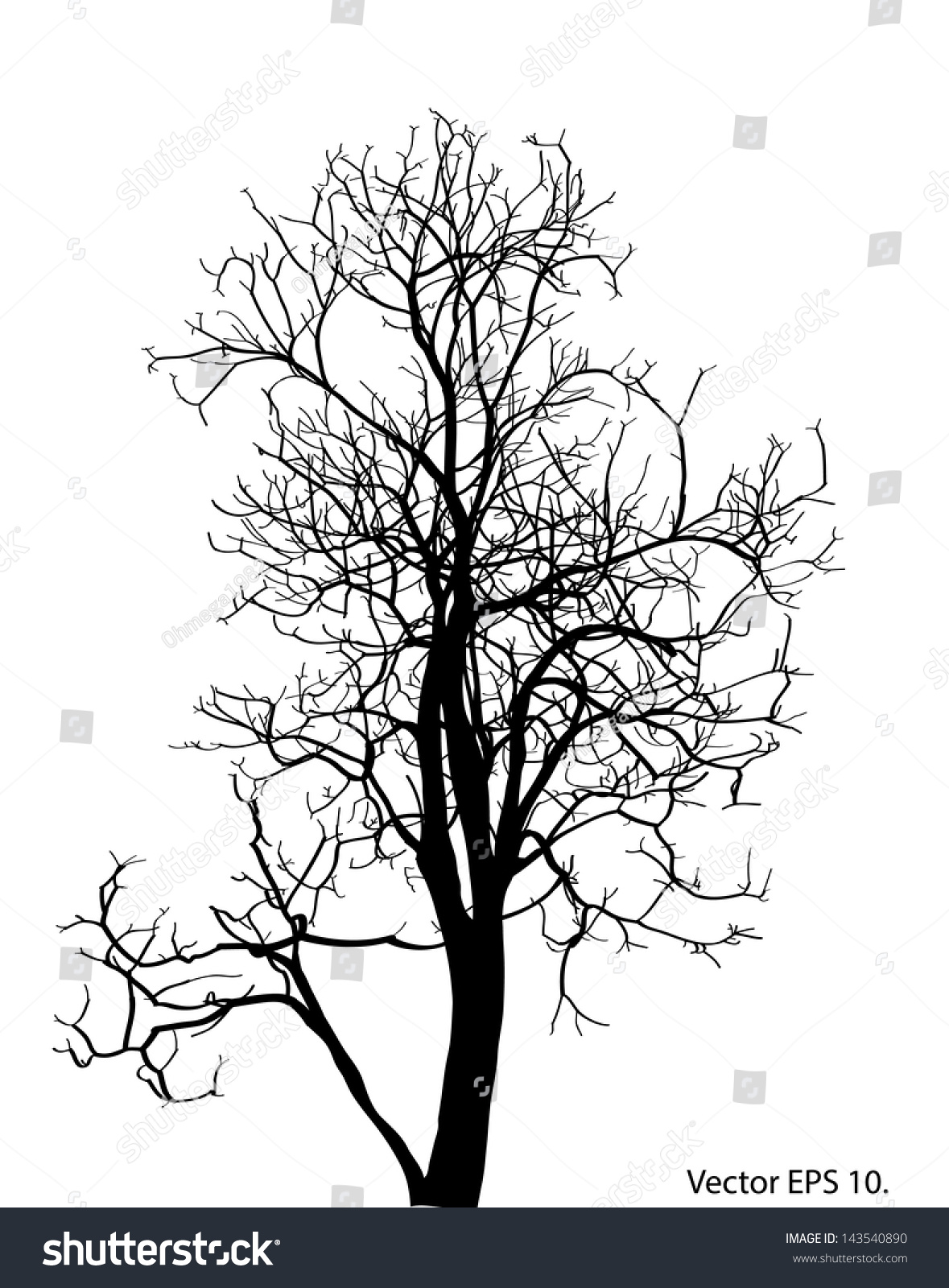 Dead Tree Without Leaves Vector Illustration Stock Vector (Royalty Free ...