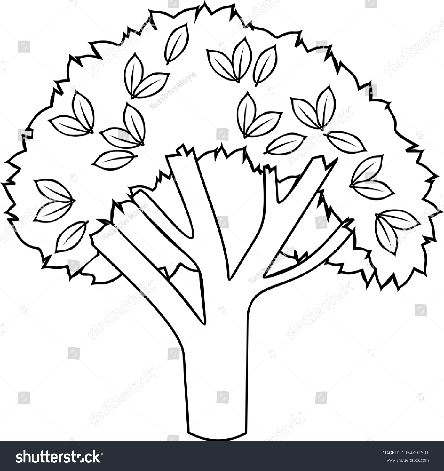 Deciduous Tree Coloring Page Stock Vector (Royalty Free) 1054891601 ...